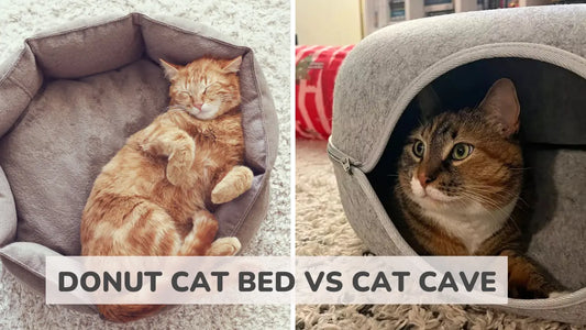 Donut Cat Bed vs Cat Cave Pros & Cons Every Cat Parent Should Know
