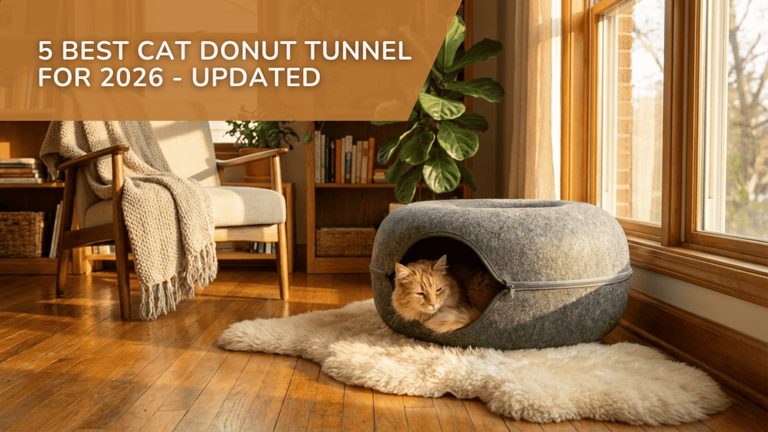5 Best Cat Donut Tunnel for 2026 - Updated Blog Post