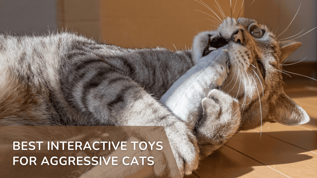Best Interactive Toys for Aggressive Cats