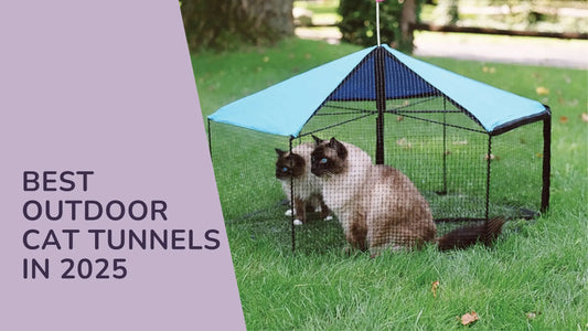 Best Outdoor Cat Tunnels in 2025