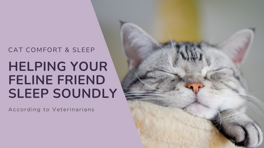 Cat Comfort & Sleep: Helping Your Feline Friend Sleep Soundly - According to Veterinarians
