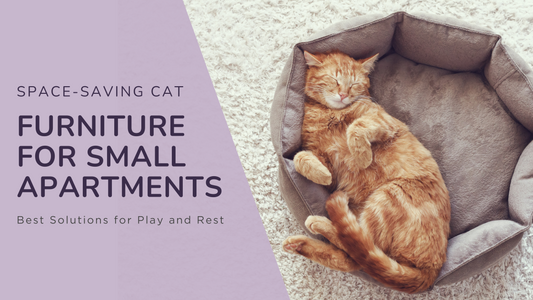 Blog Post: Space-Saving Cat Furniture for Small Apartments