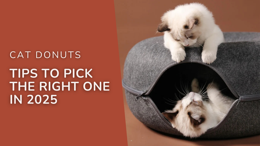 Cat Donuts Tips to Pick the Right One in 2025