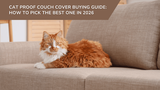 Cat Proof Couch Cover Buying Guide How to Pick The Best One in 2026