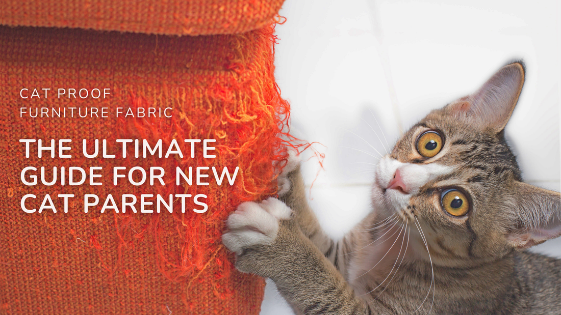 Cat Proof Furniture Fabric The Ultimate Guide for New Cat Parents by StayPurr