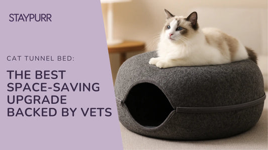 Cat Tunnel Bed The Best Apartment Upgrade Backed by Vets