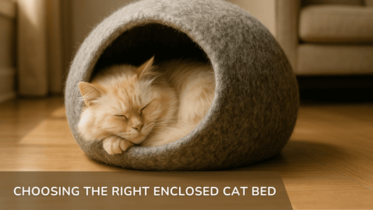 Choosing the Right Enclosed Cat Bed the blog by StayPurr