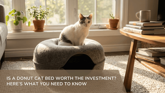 Is a Donut Cat Bed Worth the Investment Here’s What You Need to Know