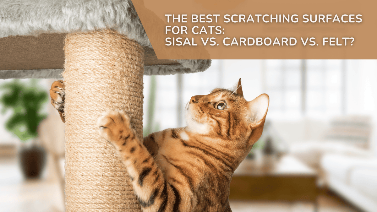 The Best Scratching Surfaces for Cats Sisal vs. Cardboard vs. Felt
