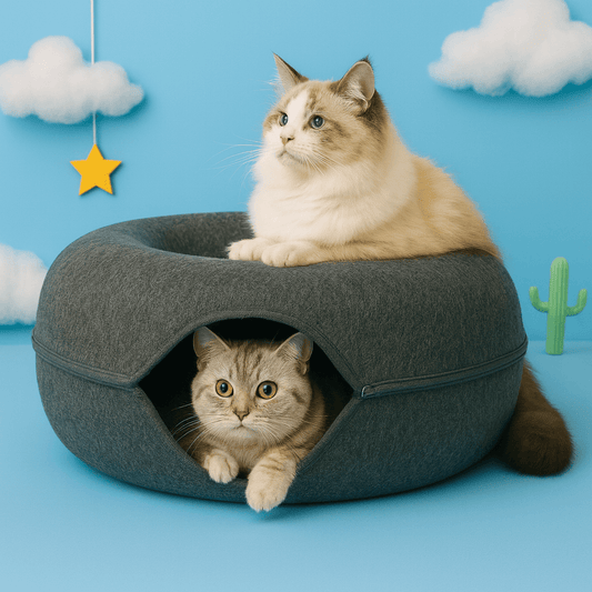 Two cats in a gray StayPurr Tunnel Bed against a blue background with cloud and star decorations.