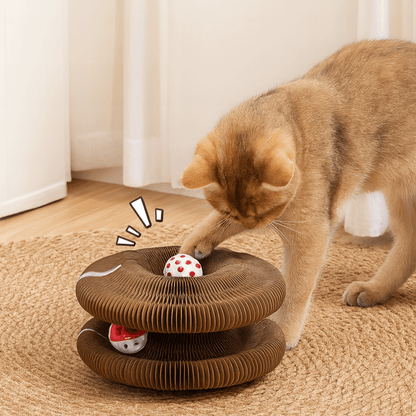 Cat playing with a StayPurr cat toy ring track on a carpeted floor.