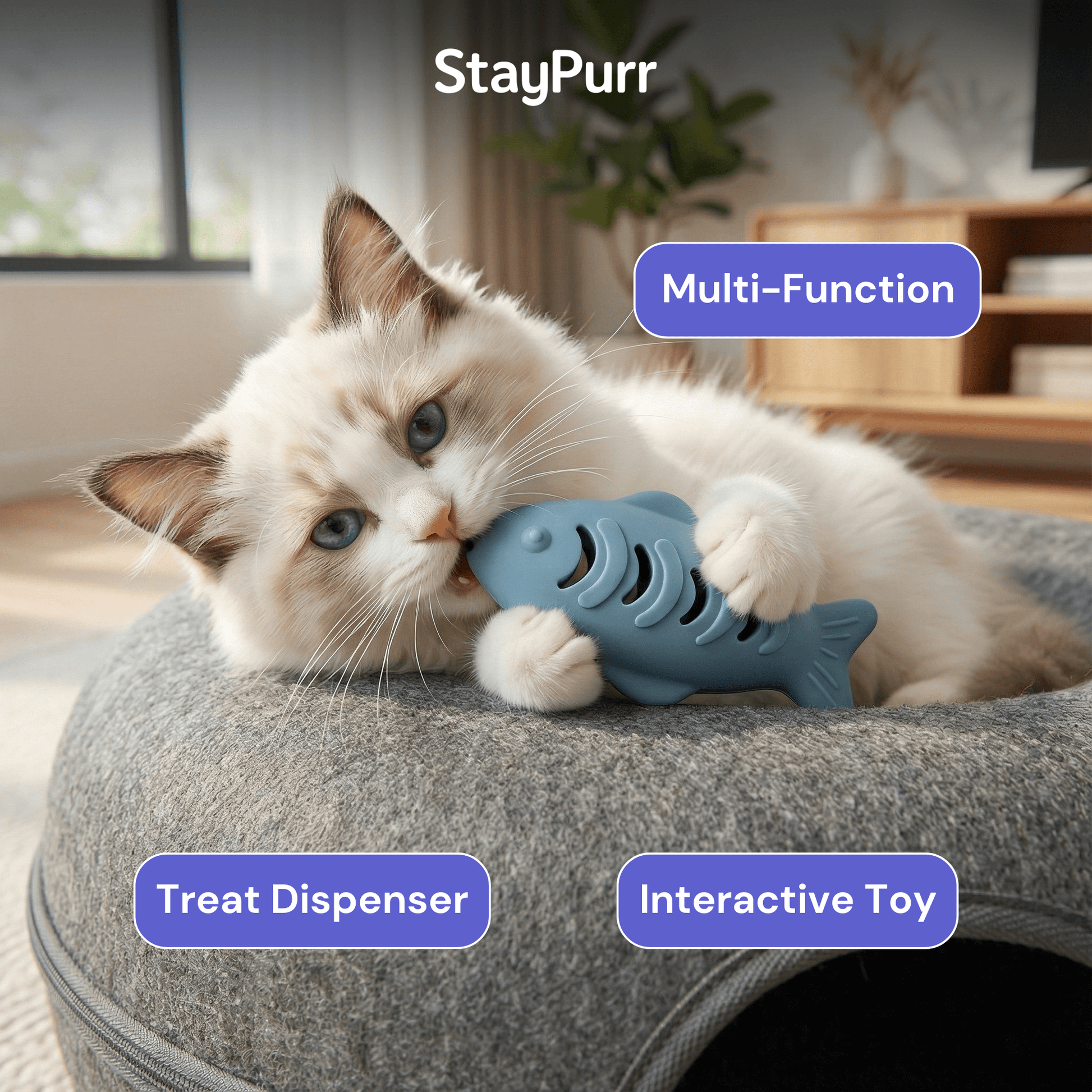 Cat playing with a blue fish-shaped toy labeled 'StayPurr' with text 'Multi-Function', 'Treat Dispenser', and 'Interactive Toy'.