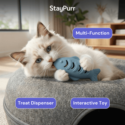 Cat playing with a blue fish-shaped toy labeled 'StayPurr' with text 'Multi-Function', 'Treat Dispenser', and 'Interactive Toy'.
