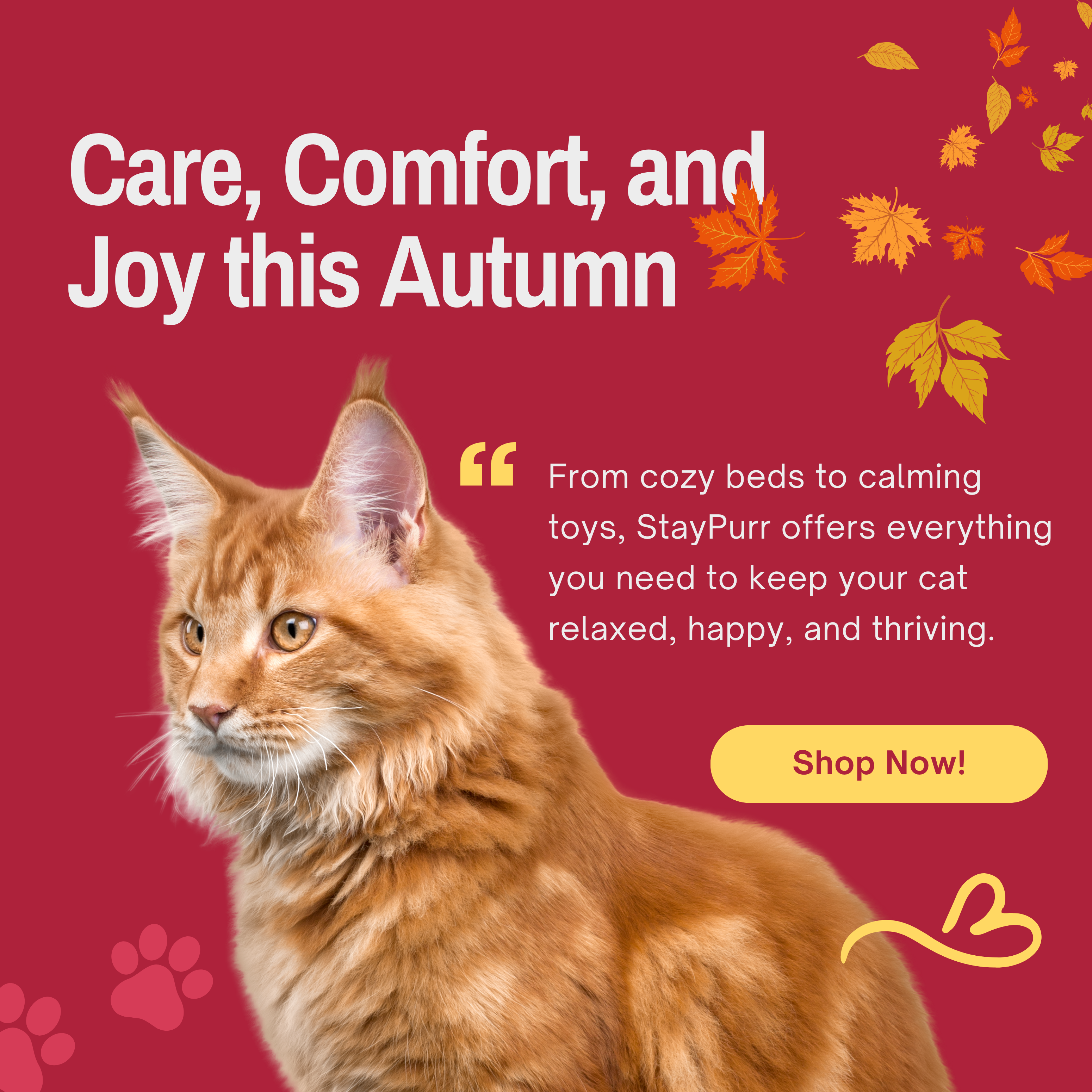 StayPurr promotional image with a cat on a red background featuring autumn leaves and text about cat care products.