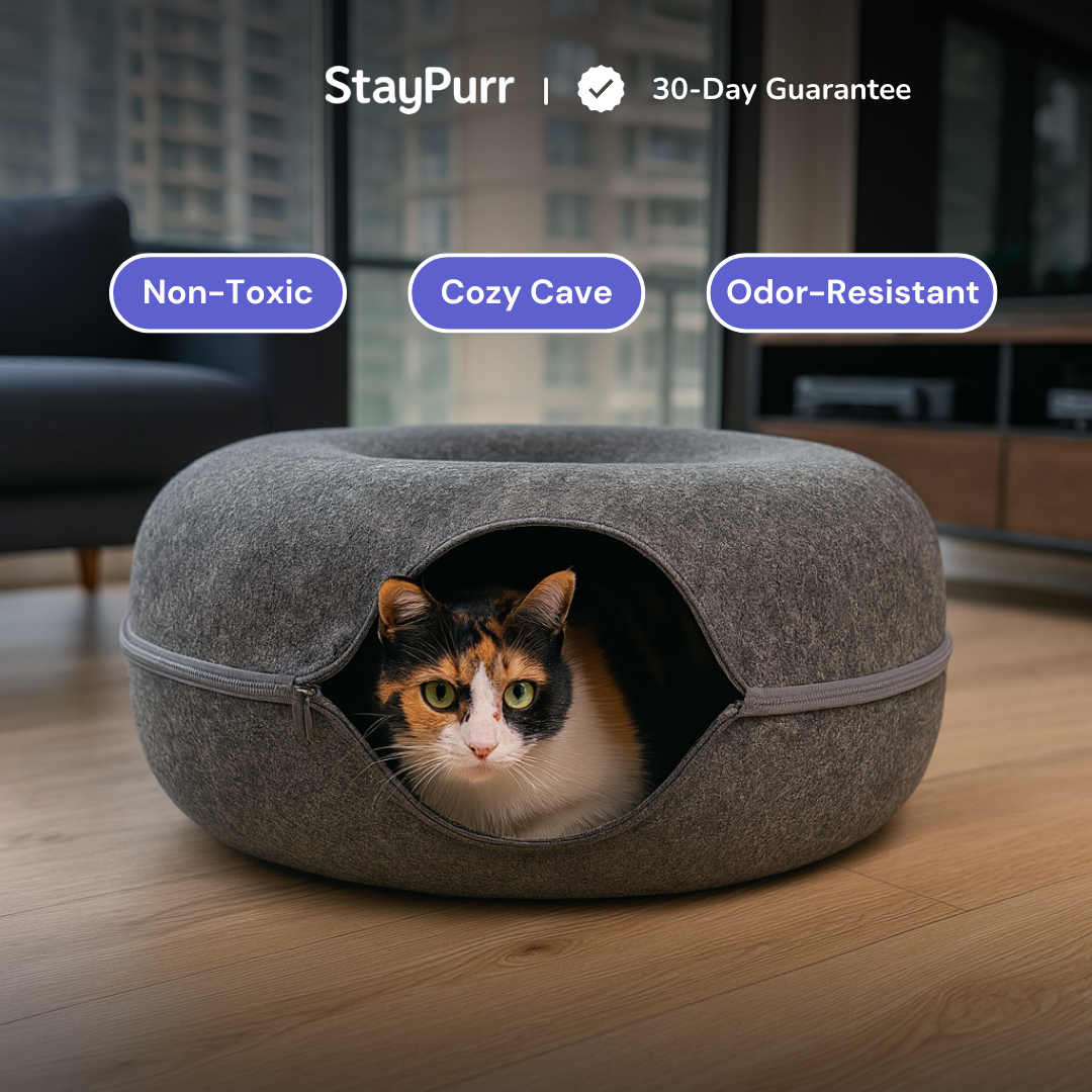 Cat peeking out from a gray StayPurr Cat Tunnel Bed with 'StayPurr' branding and product features.