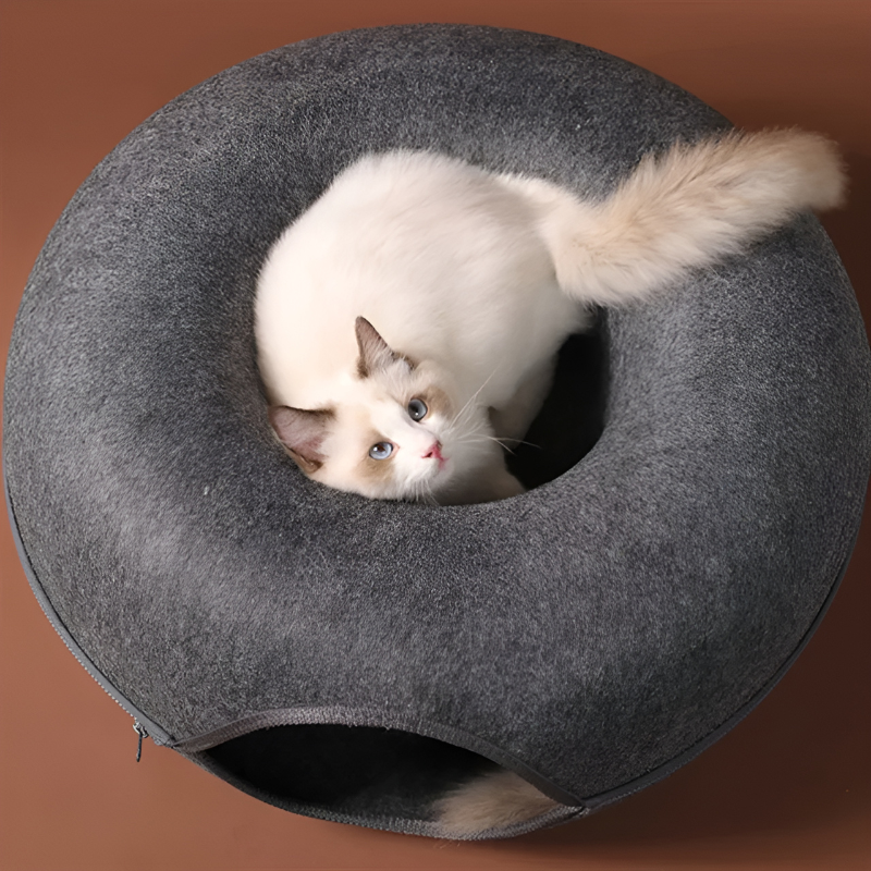 Your cat will love the multi-purpose design of the product!