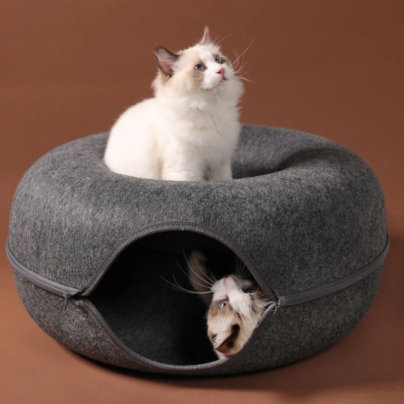 Large size is perfect for multiple cats household